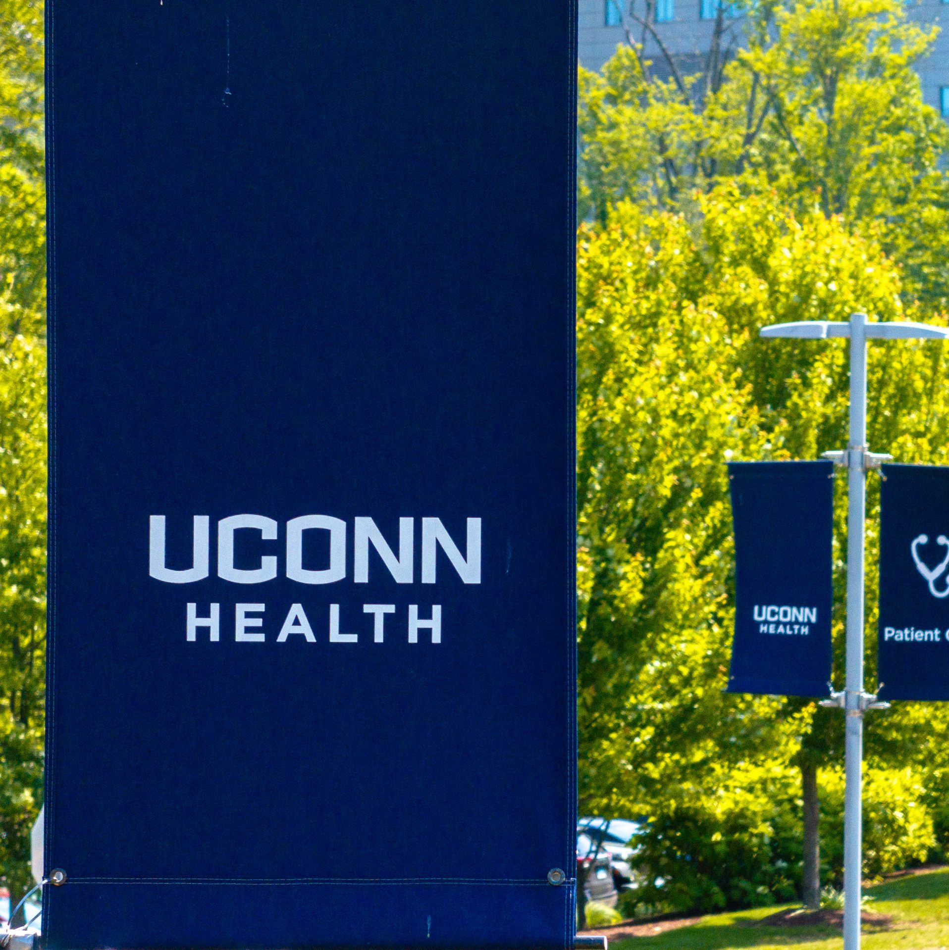 Blue "UConn Health" sign on lamppost
