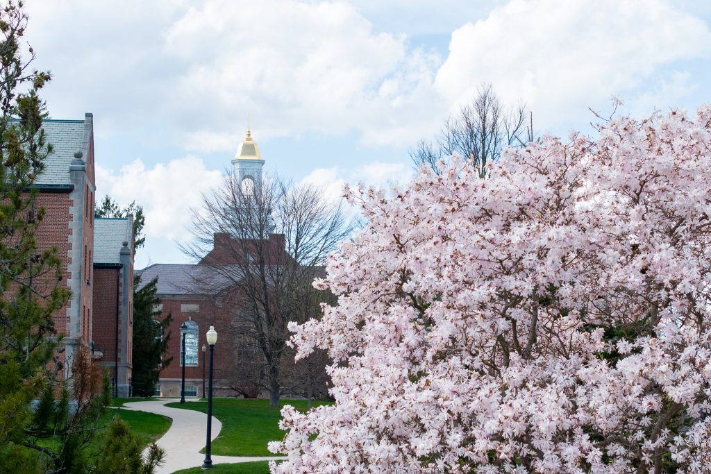 An aerial view of blooms across the UConn Storrs campus
