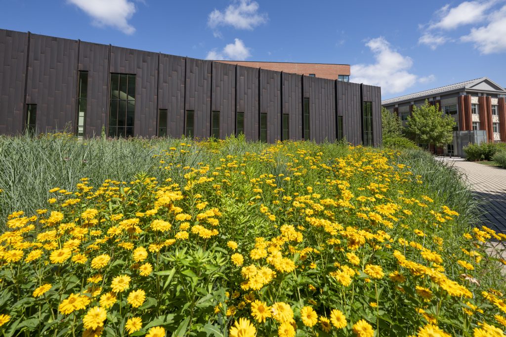 McHugh Hall with yellow flowers in the foreground.