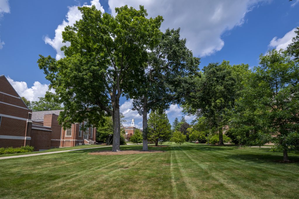 The Benton Museum and Wilbur Cross on a sunny summer day.
